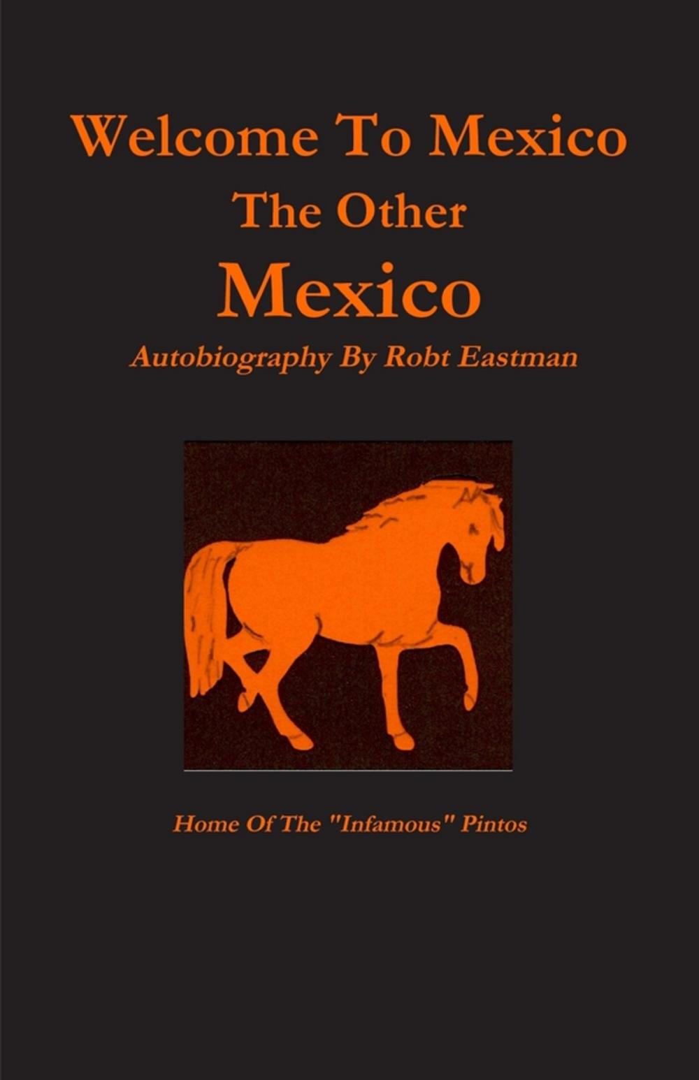 Big bigCover of Welcome to Mexico : The Other Mexico: Home Of The "Infamous" Pintos