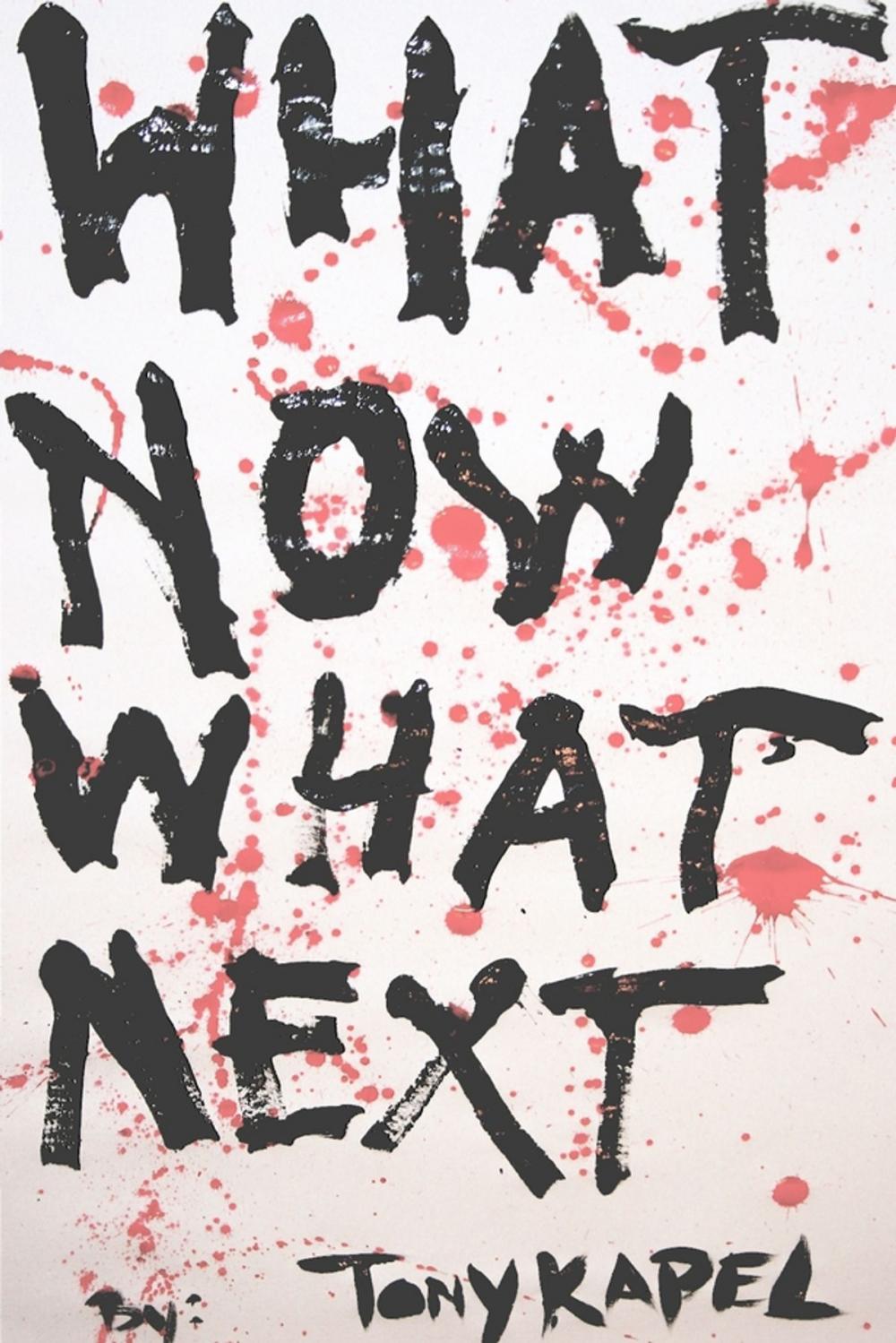 Big bigCover of What Now What Next