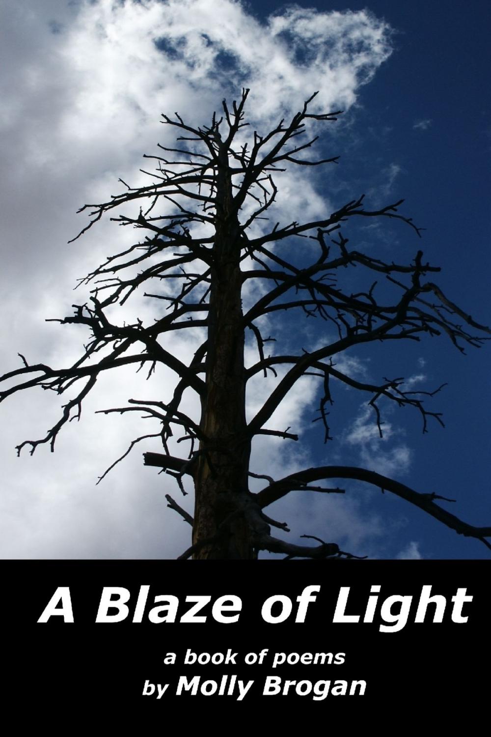 Big bigCover of A Blaze of Light: A Book of Poems