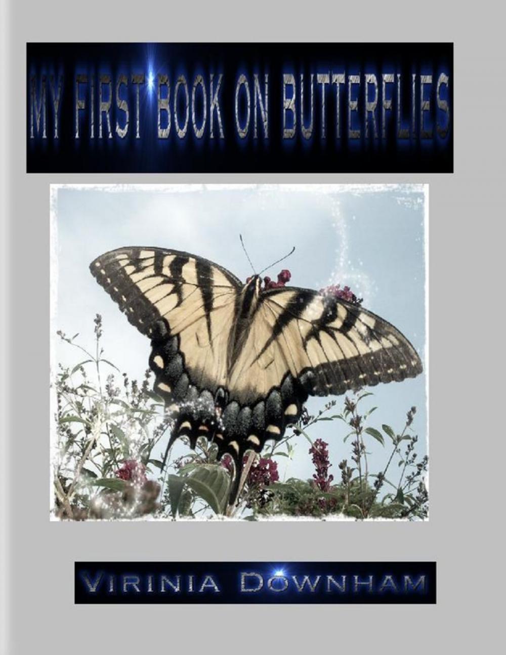 Big bigCover of My First Book on Butterflies