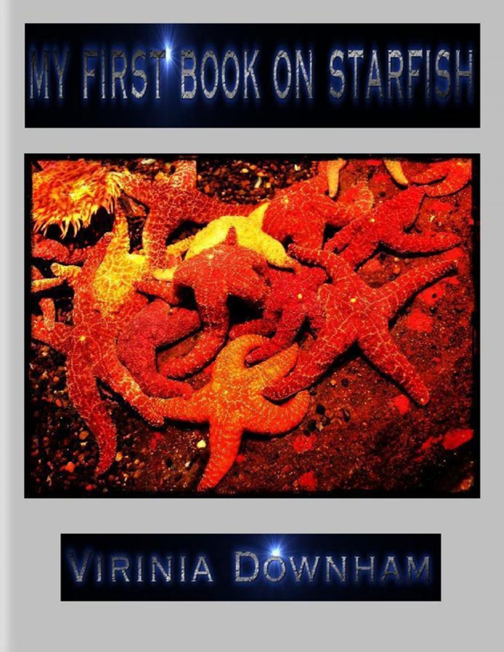 Big bigCover of My First Book on Starfish