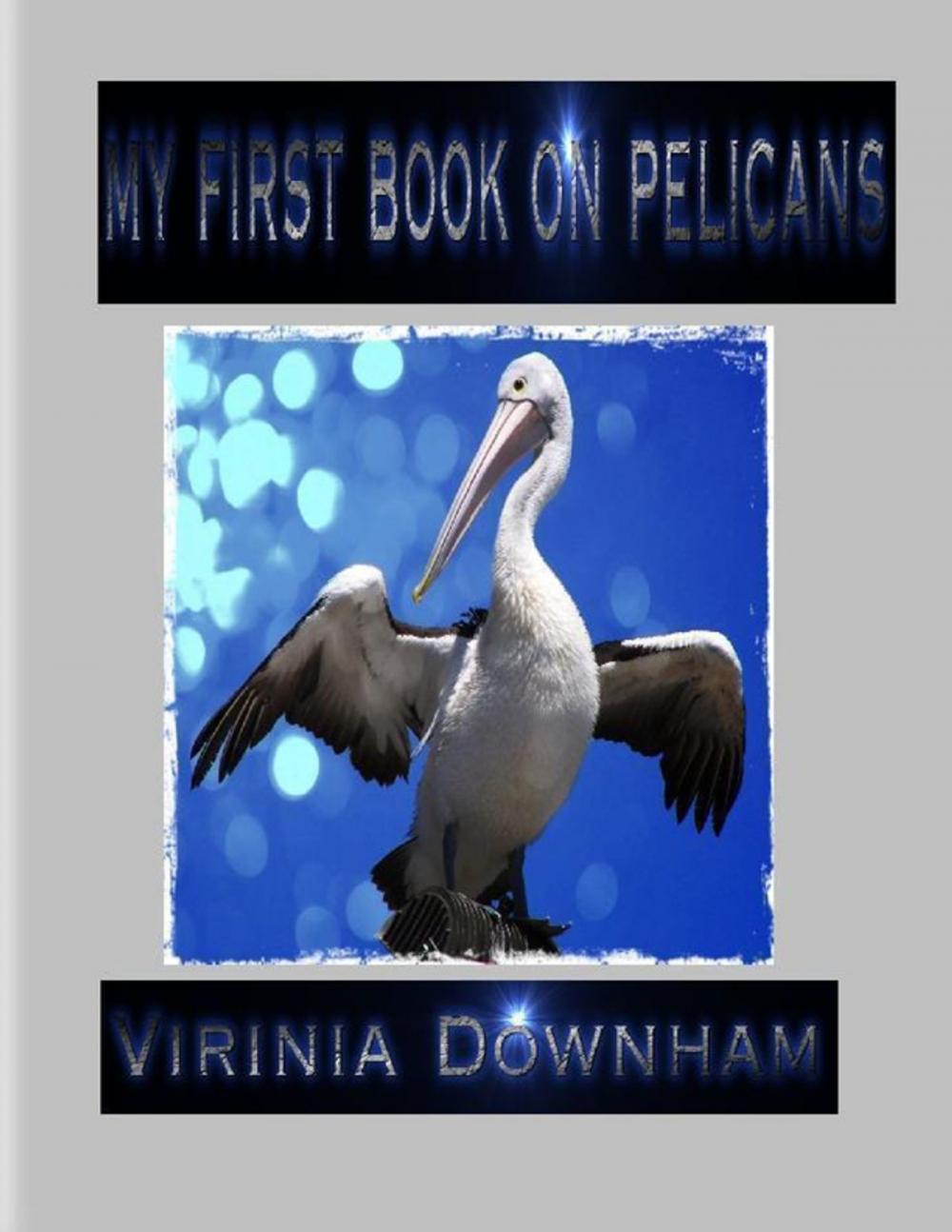 Big bigCover of My First Book on Pelicans