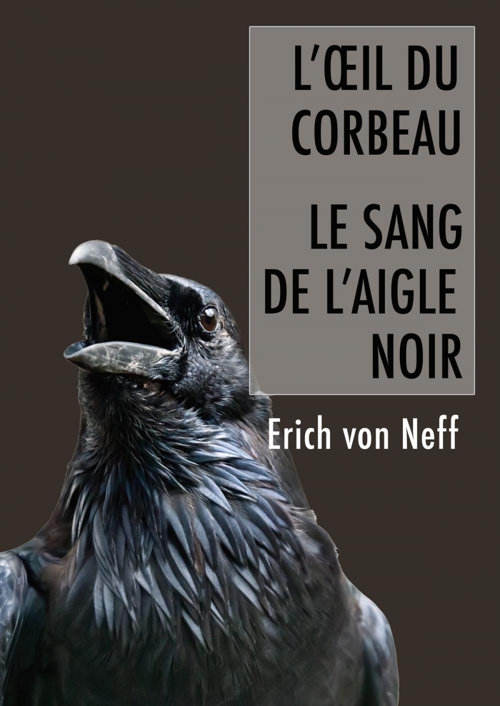 Big bigCover of L'Oeil du corbeau et le sang de l'aigle