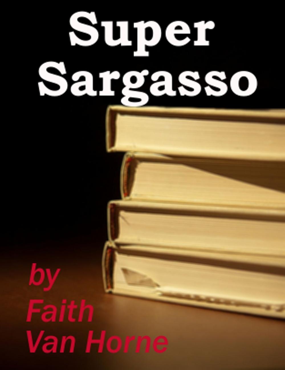 Big bigCover of Super Sargasso