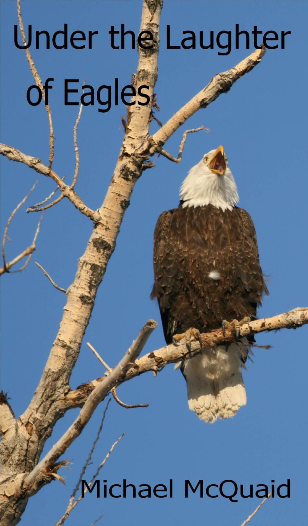 Big bigCover of Under the Laughter of Eagles