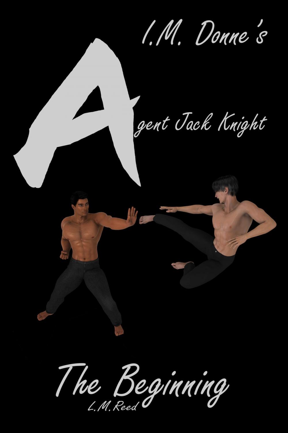 Big bigCover of Agent Jack Knight: The Beginning