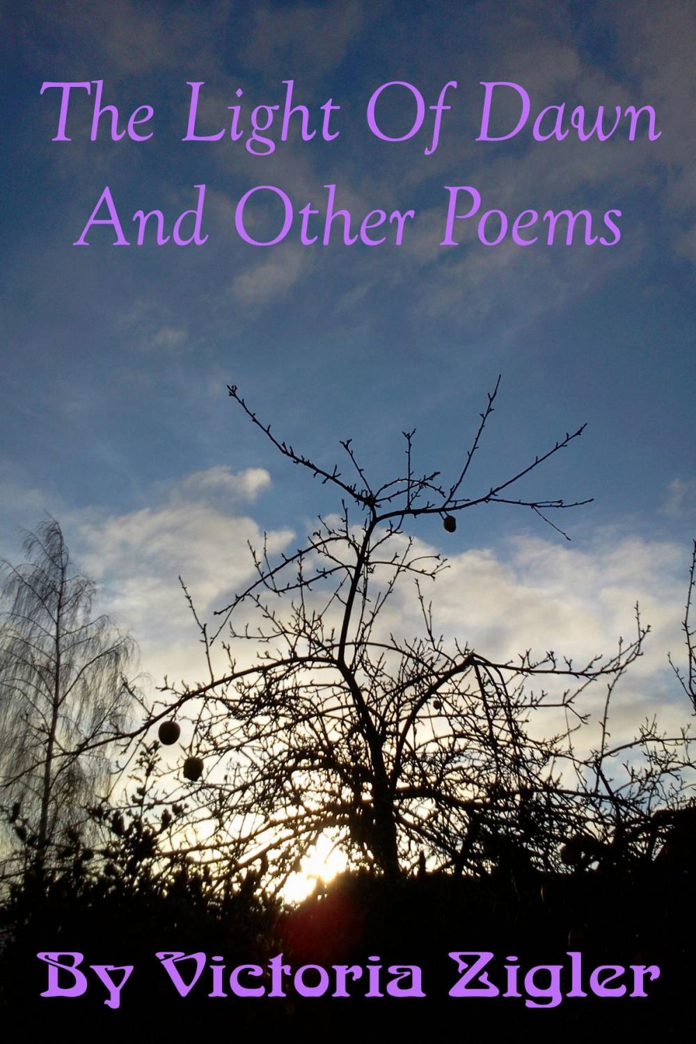 Big bigCover of The Light Of Dawn And Other Poems