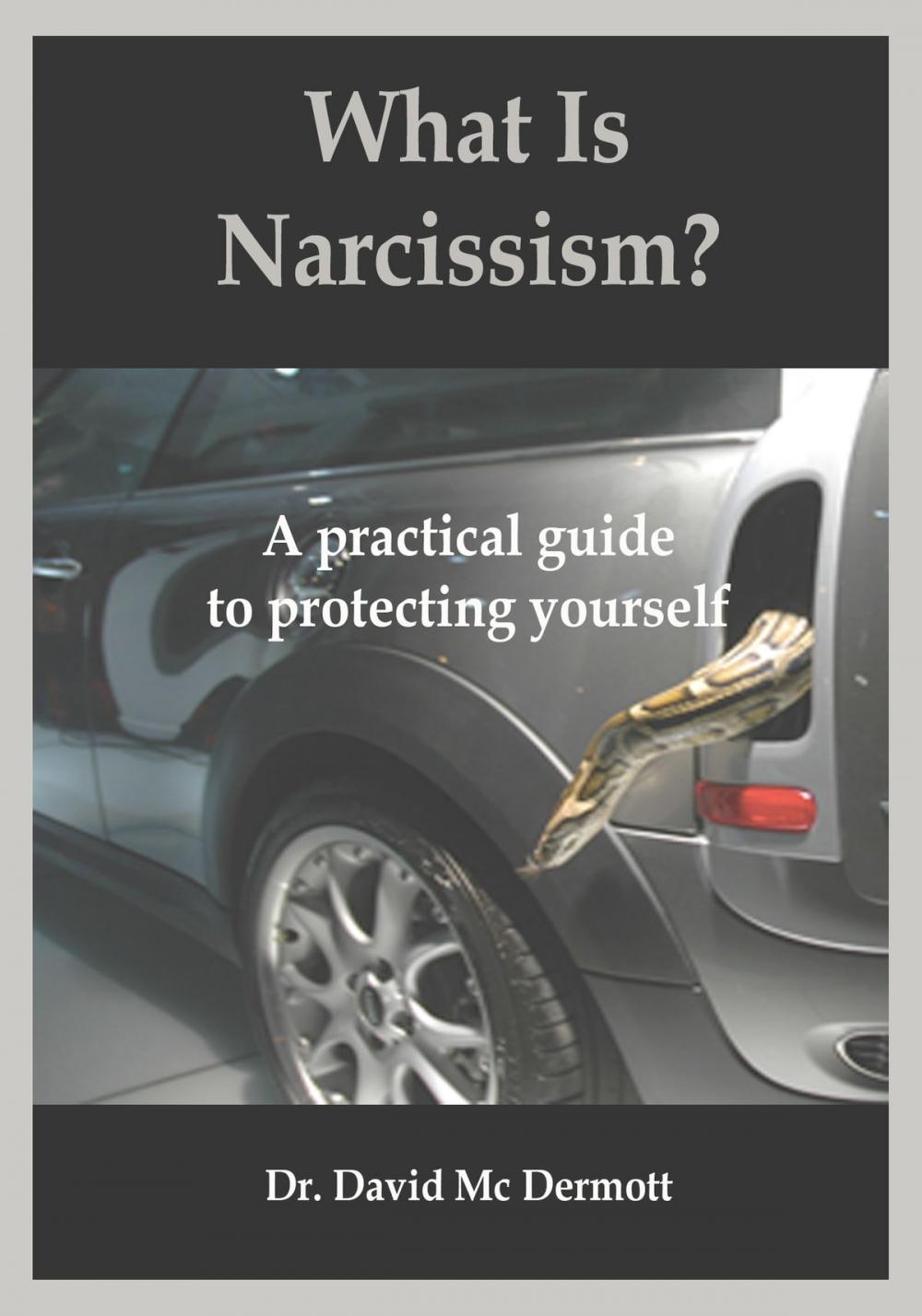 Big bigCover of What Is Narcissism? A Practical Guide To Protecting Yourself