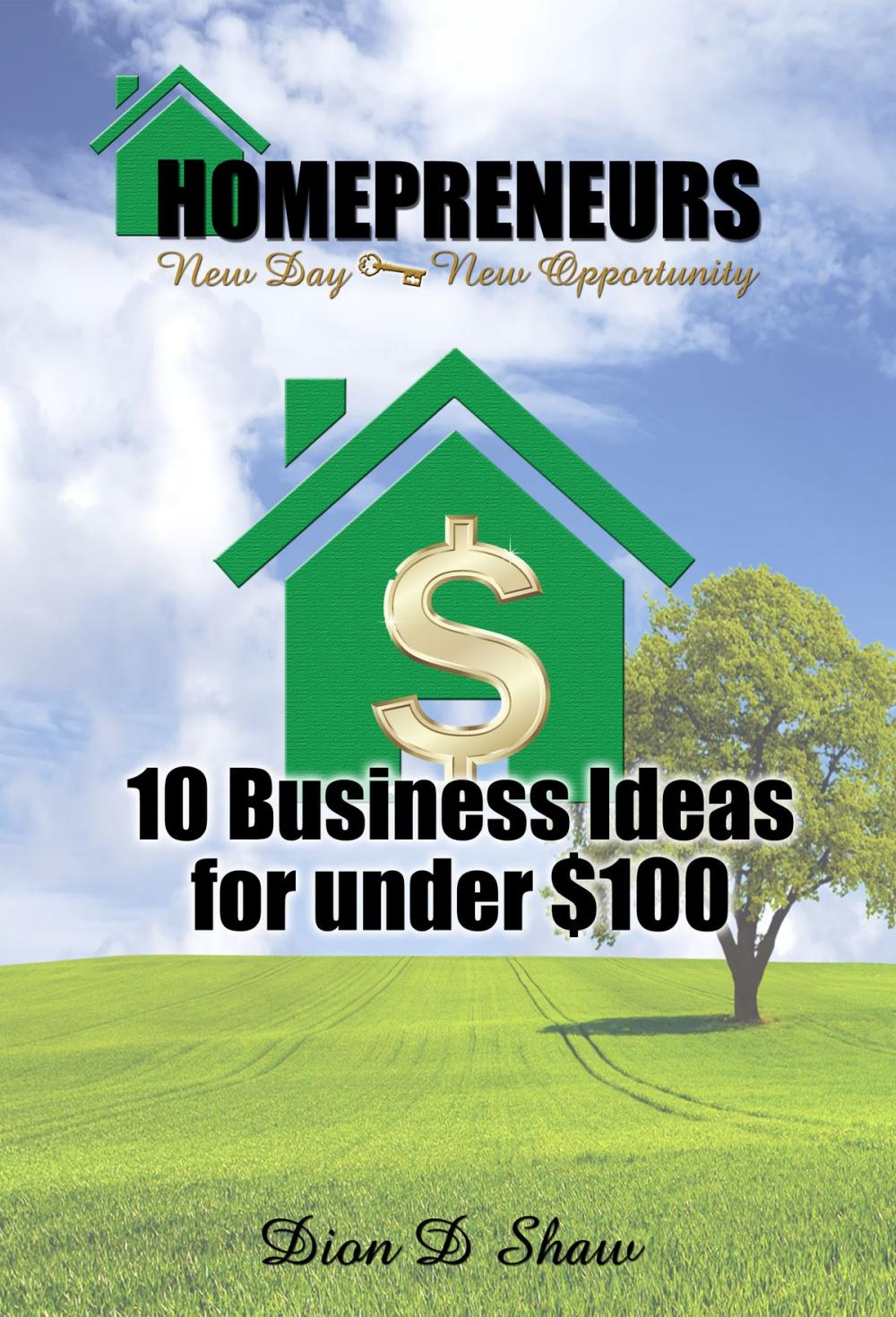 Big bigCover of 10 Home Business Ideas for under $100