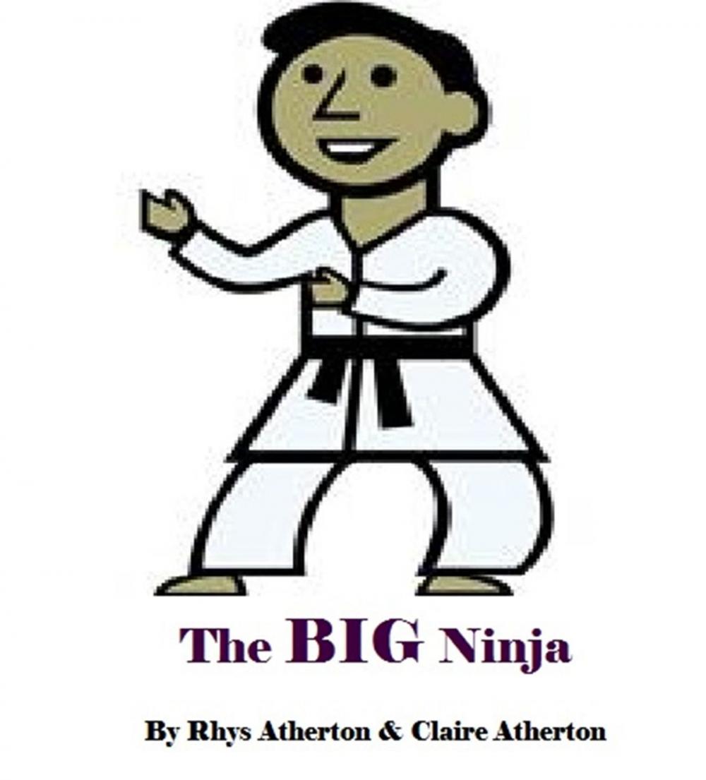 Big bigCover of The BIG Ninja