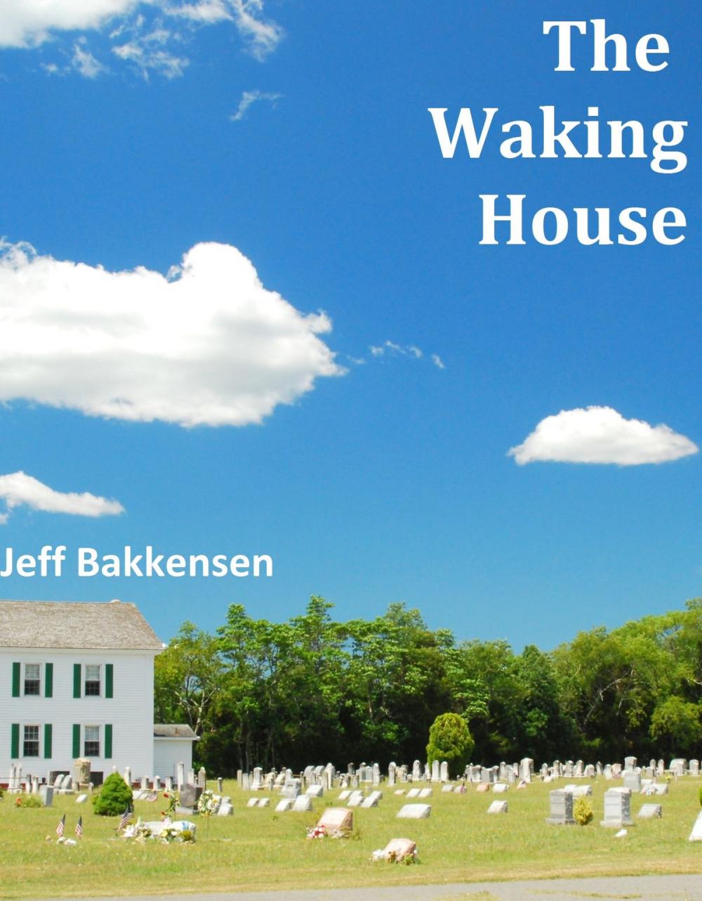 Big bigCover of The Waking House