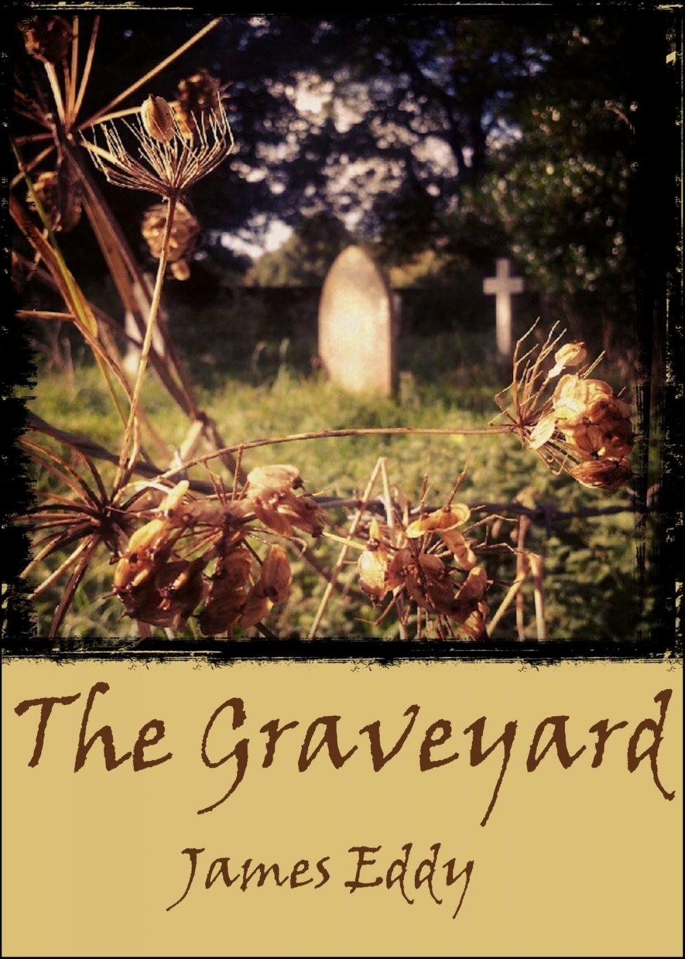 Big bigCover of The Graveyard