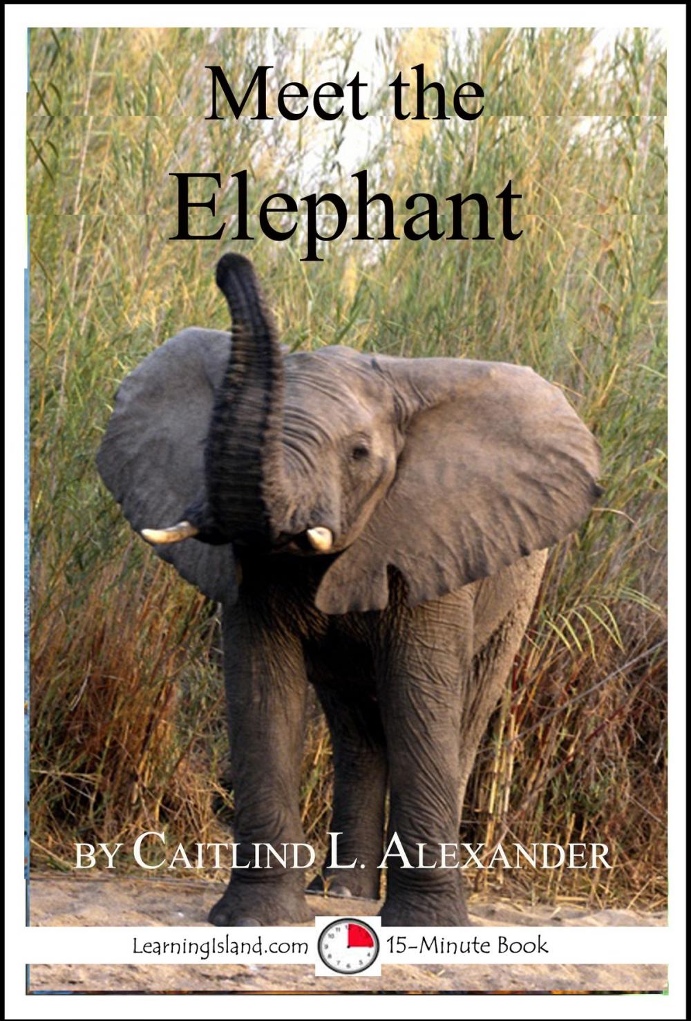 Big bigCover of Meet the Elephant: A 15-Minute book for Early Readers