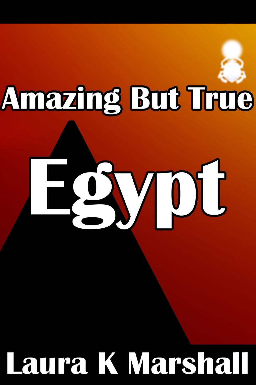 Big bigCover of Amazing but True: Egypt Book 4