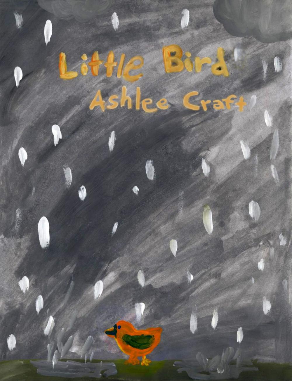 Big bigCover of Little Bird