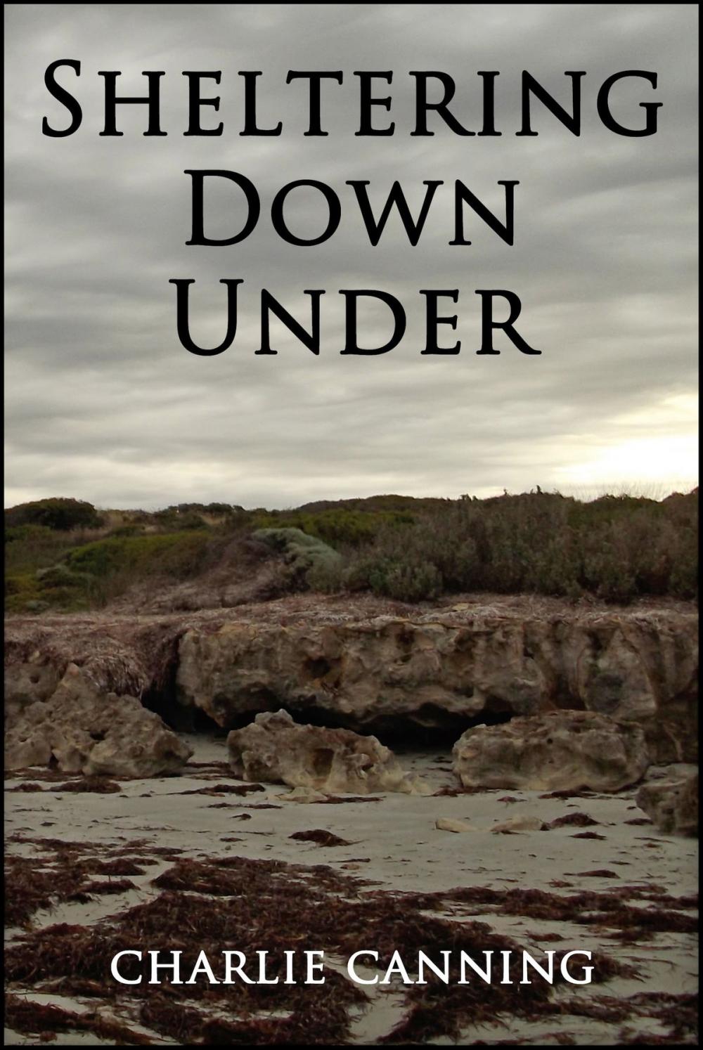 Big bigCover of Sheltering Down Under (Oceania)