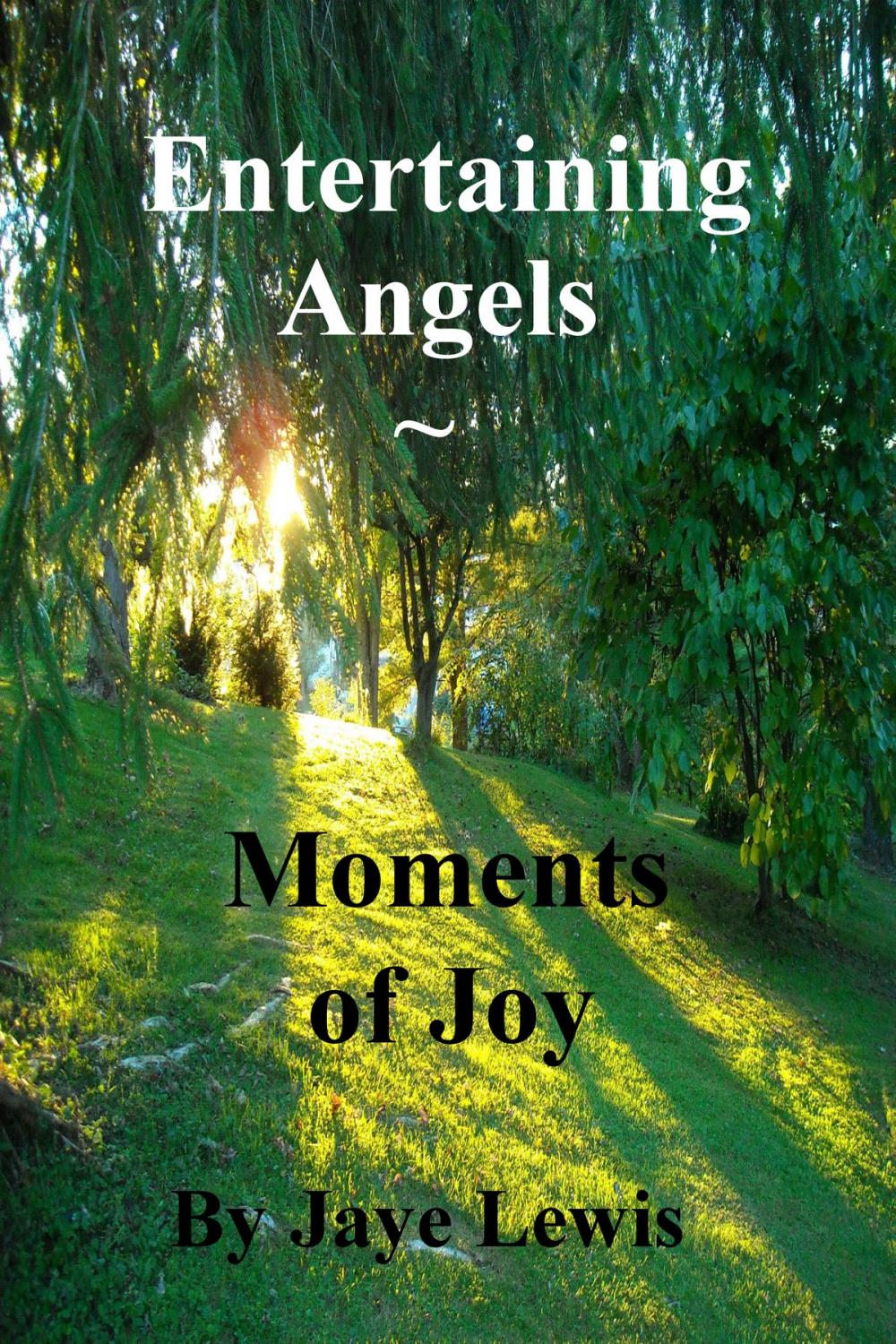 Big bigCover of Entertaining Angels ~ Moments of Joy
