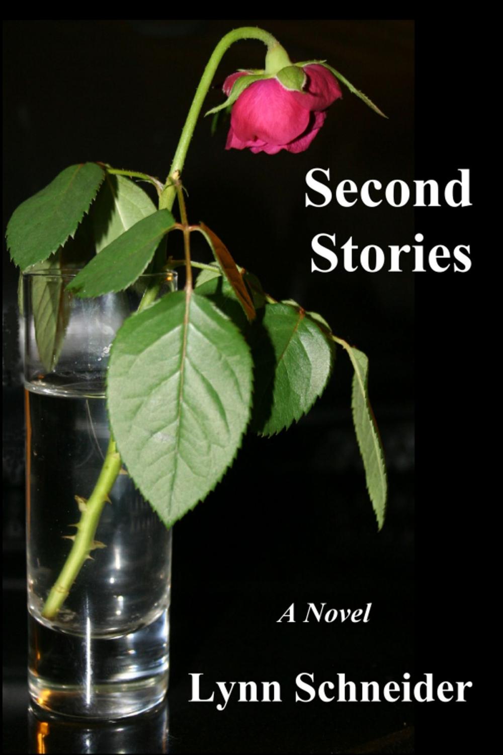 Big bigCover of Second Stories