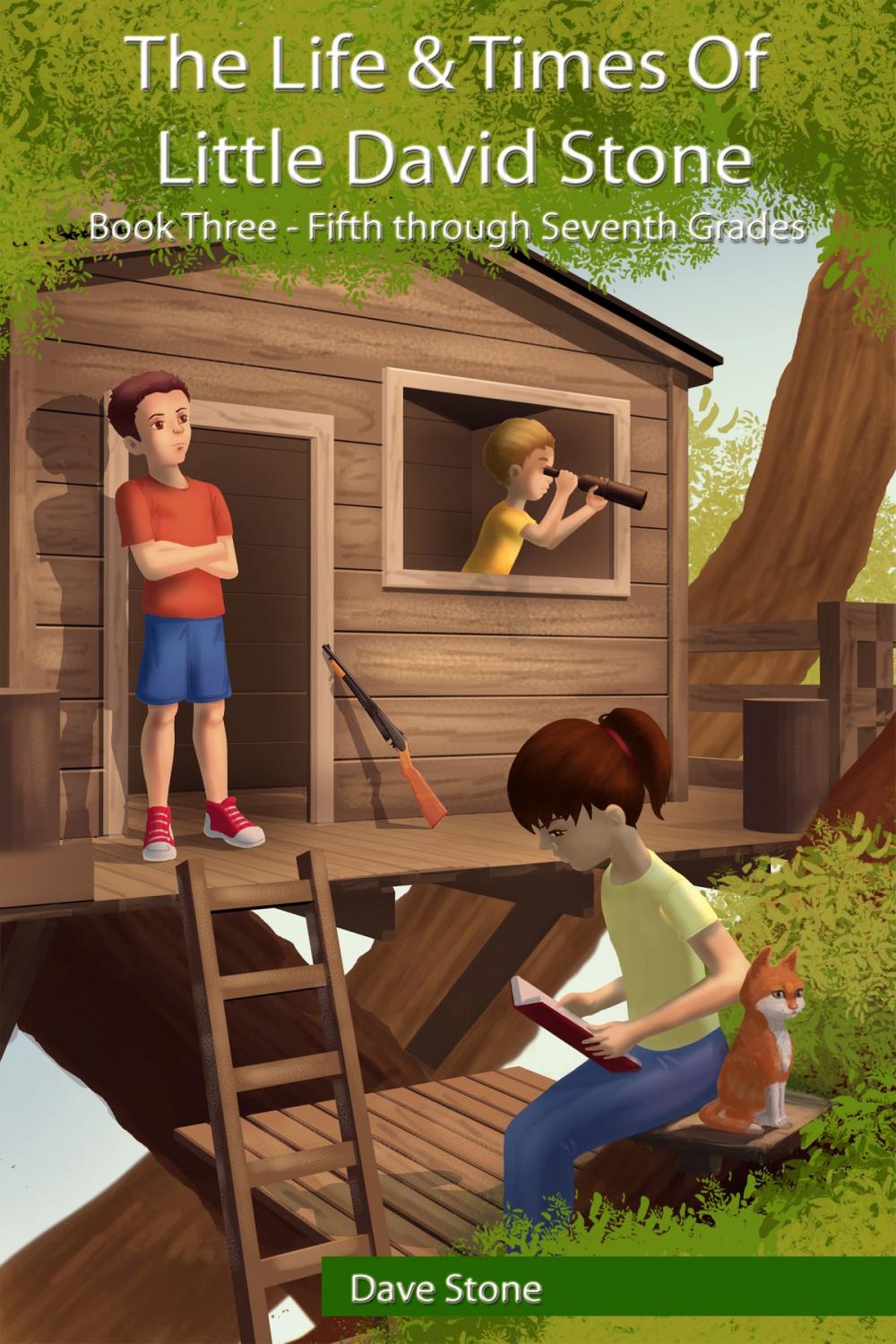 Big bigCover of The Life and Times of Little David Stone: Book Three - Fifth through Seventh Grades