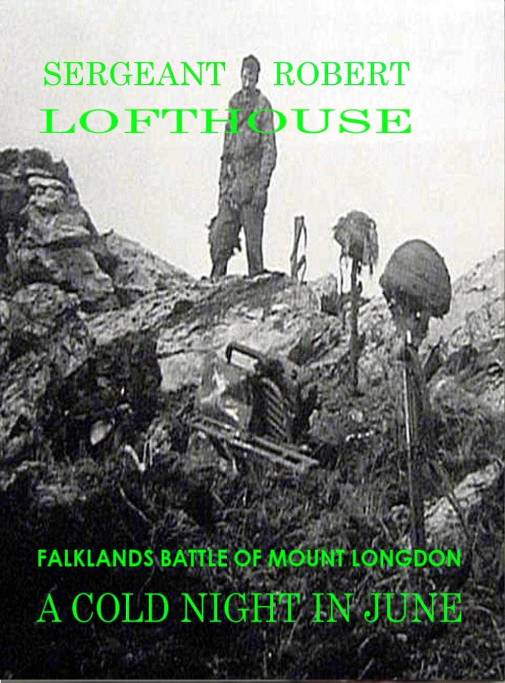 Big bigCover of A Cold Night in June: Falklands Battle of Mount Longdon