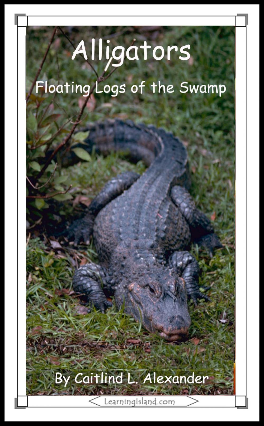 Big bigCover of Alligators: Floating Logs of the Swamp