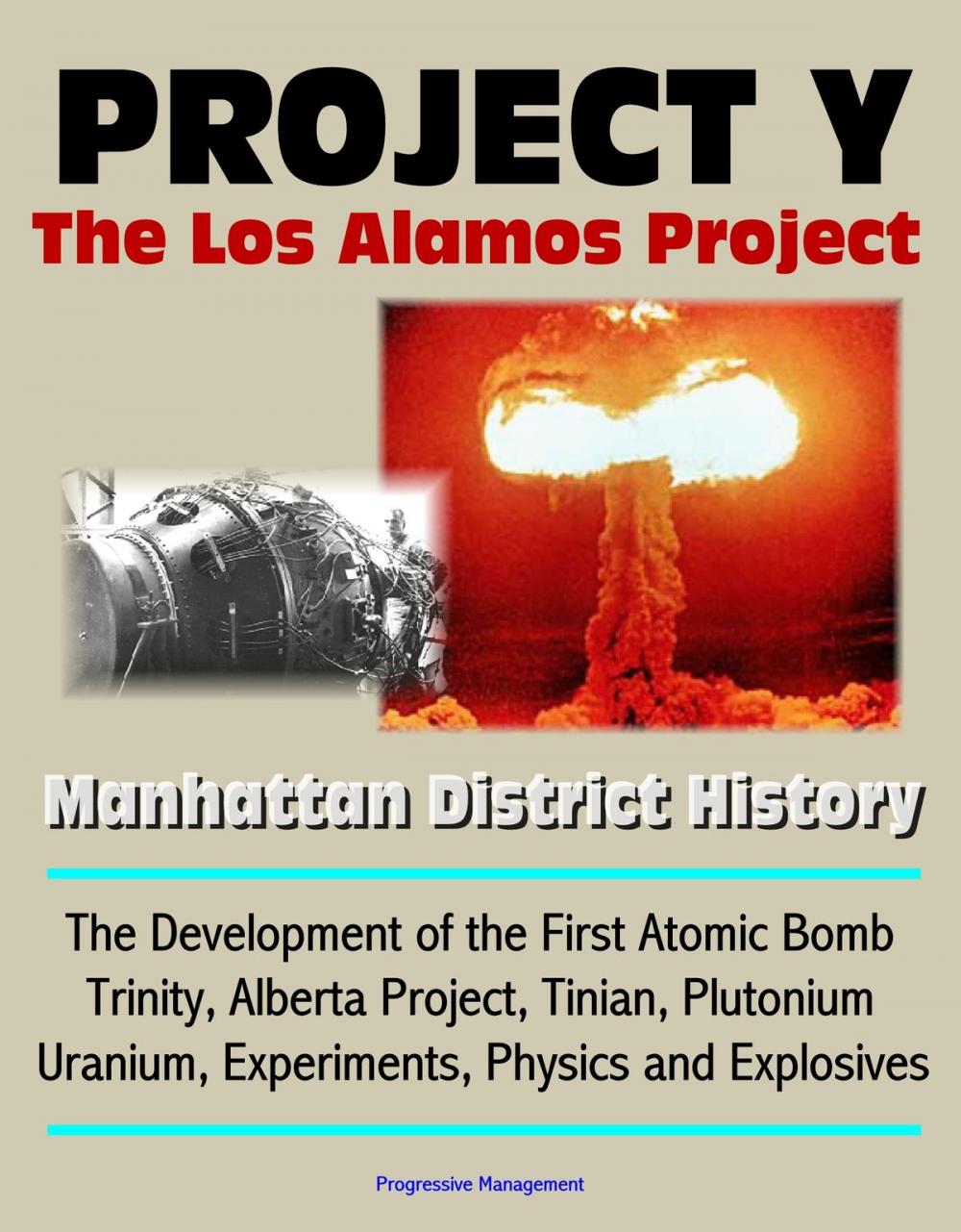 Big bigCover of Project Y: The Los Alamos Project - Manhattan District History, The Development of the First Atomic Bomb, Trinity, Alberta Project, Tinian, Plutonium, Uranium, Experiments, Physics and Explosives