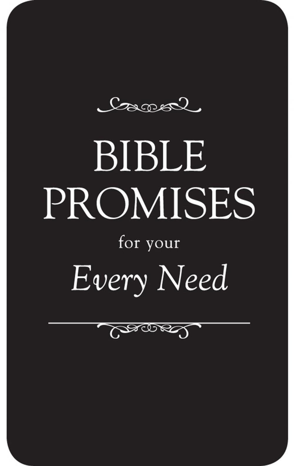 Big bigCover of Bible Promises for Your Every Need (eBook)