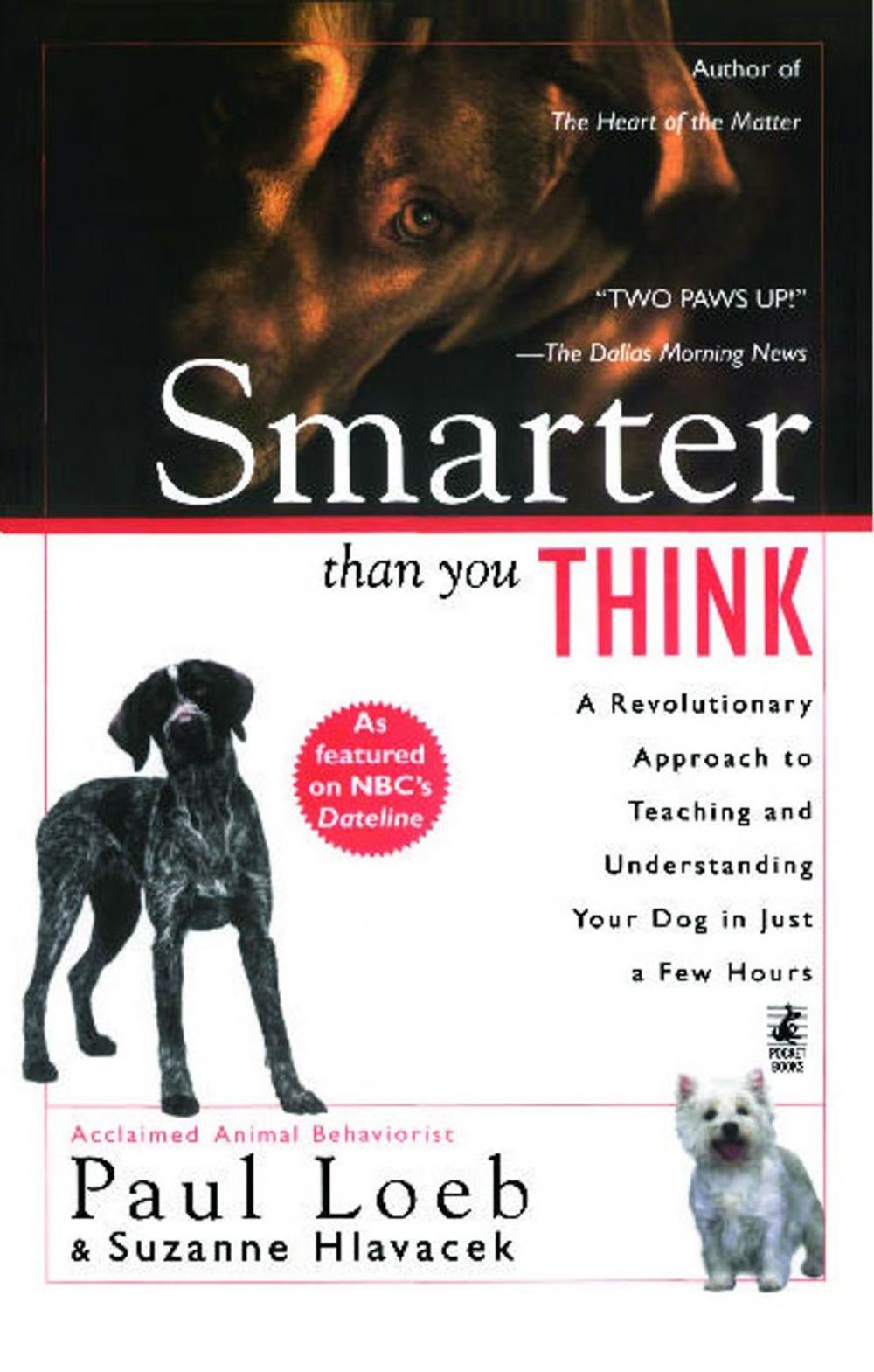 Big bigCover of Smarter Than You Think