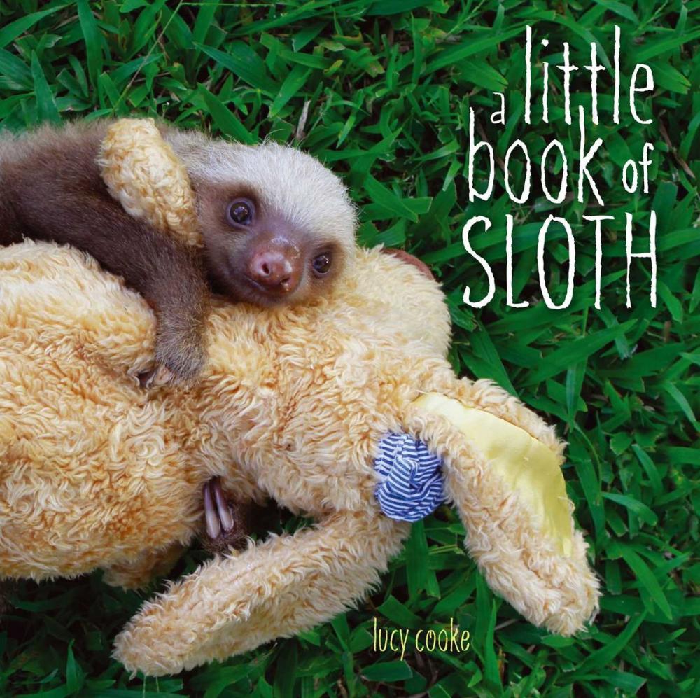 Big bigCover of A Little Book of Sloth