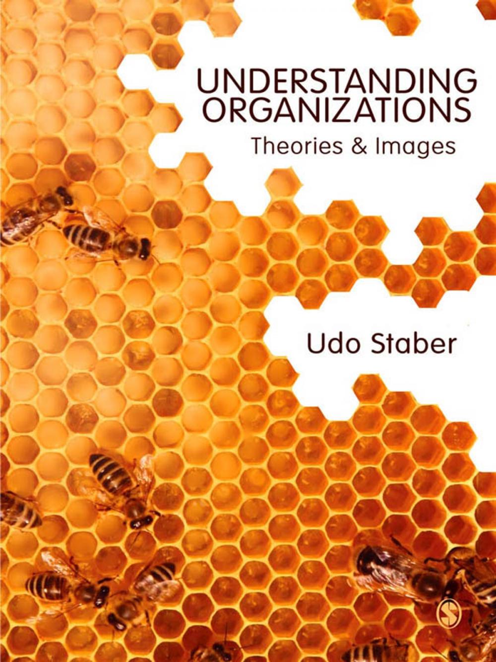 Big bigCover of Understanding Organizations