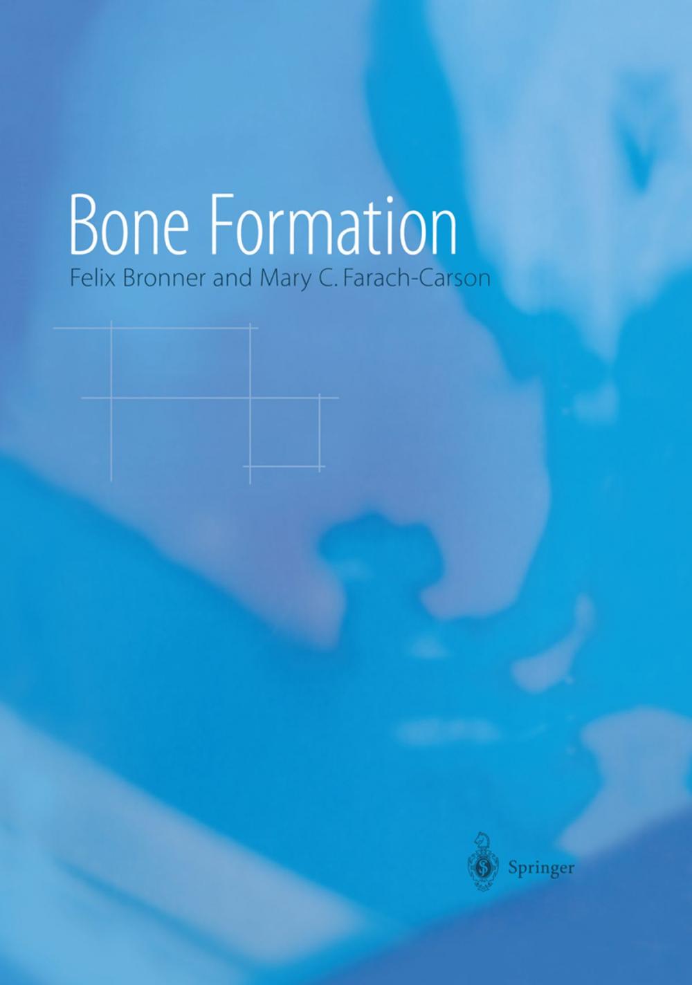 Big bigCover of Bone Formation