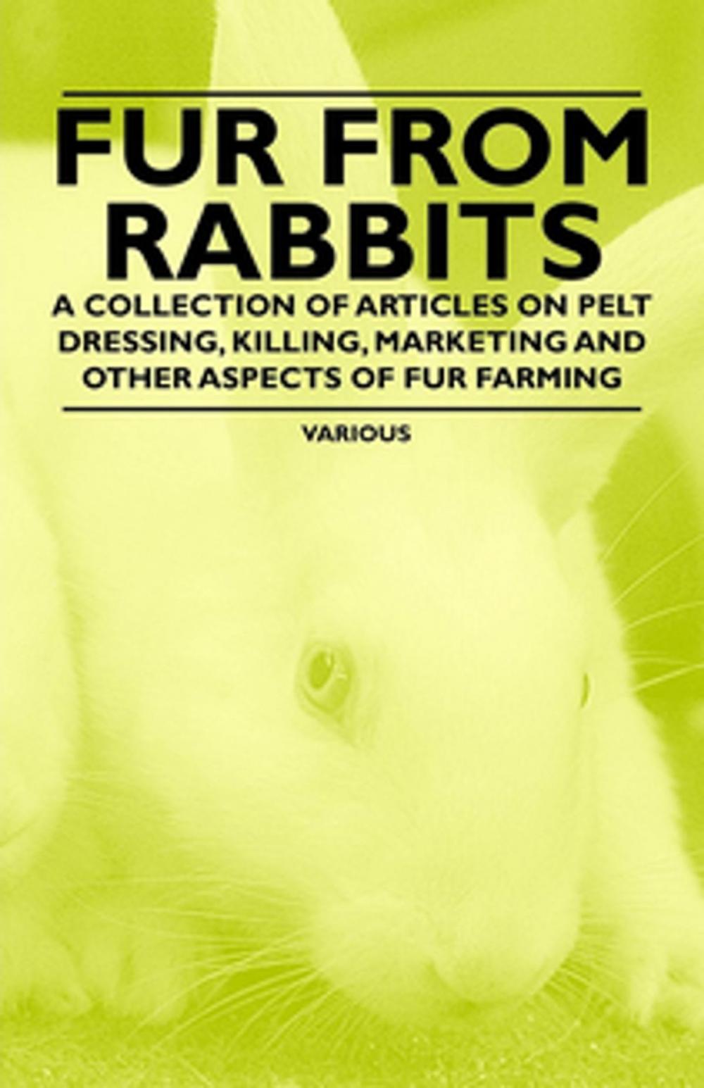 Big bigCover of Fur from Rabbits - A Collection of Articles on Pelt Dressing, Killing, Marketing and Other Aspects of Fur Farming