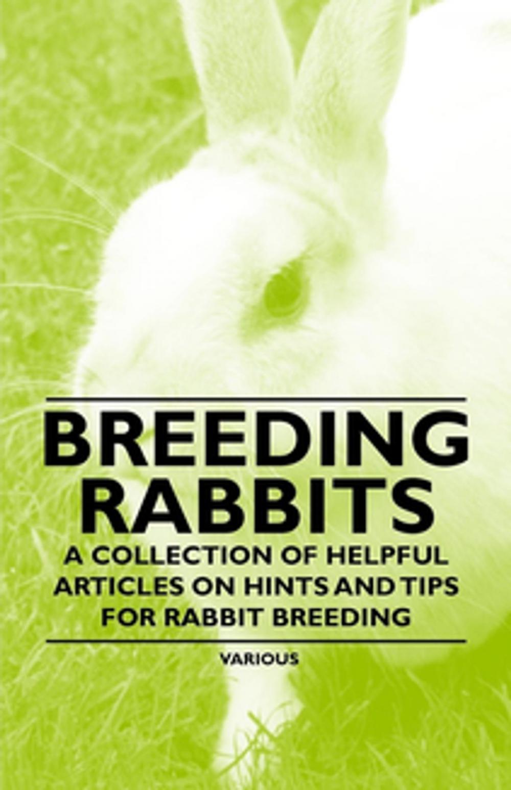 Big bigCover of Breeding Rabbits - A Collection of Helpful Articles on Hints and Tips for Rabbit Breeding