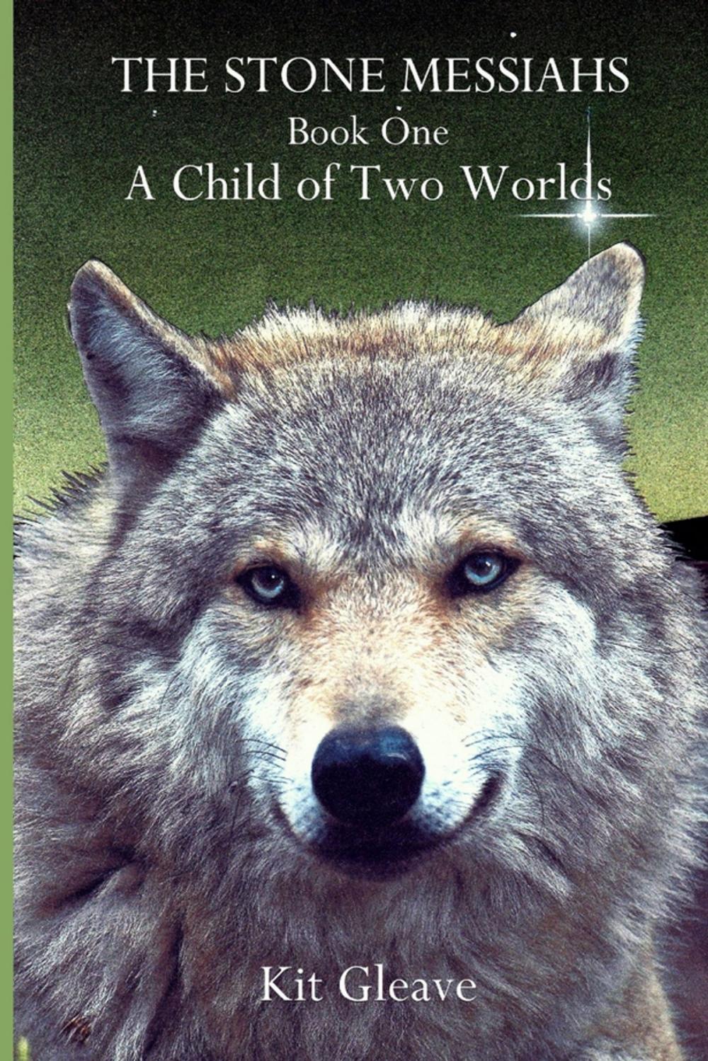 Big bigCover of The Stone Messiahs : Book One - A Child Of Two Worlds