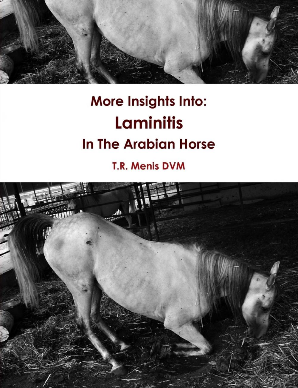 Big bigCover of More Insights Into: Laminitis In The Arabian Horse