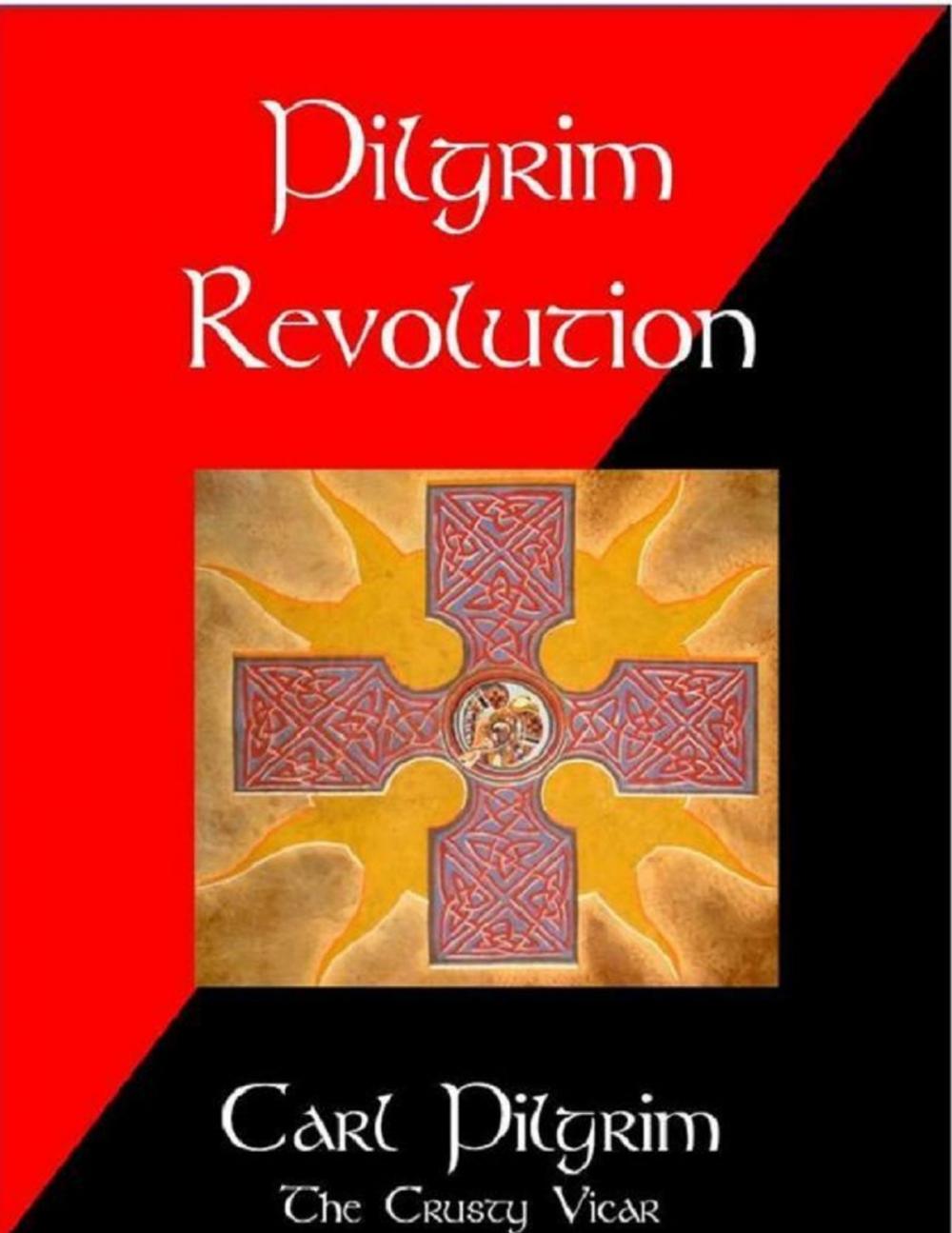 Big bigCover of Pilgrim Revolution