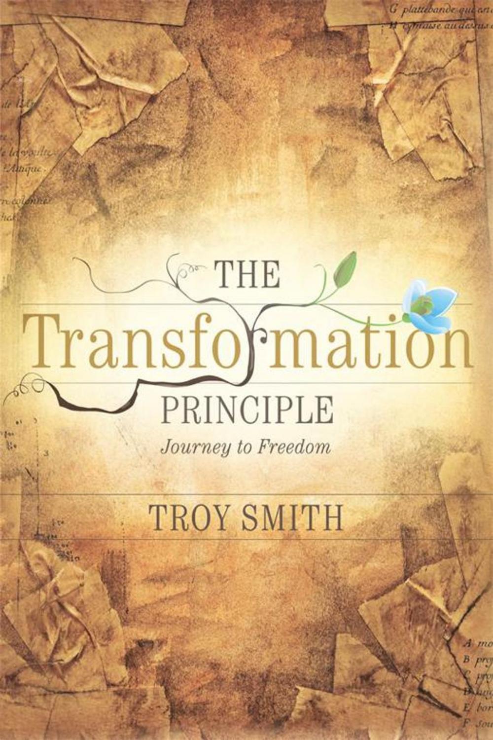 Big bigCover of The Transformation Principle