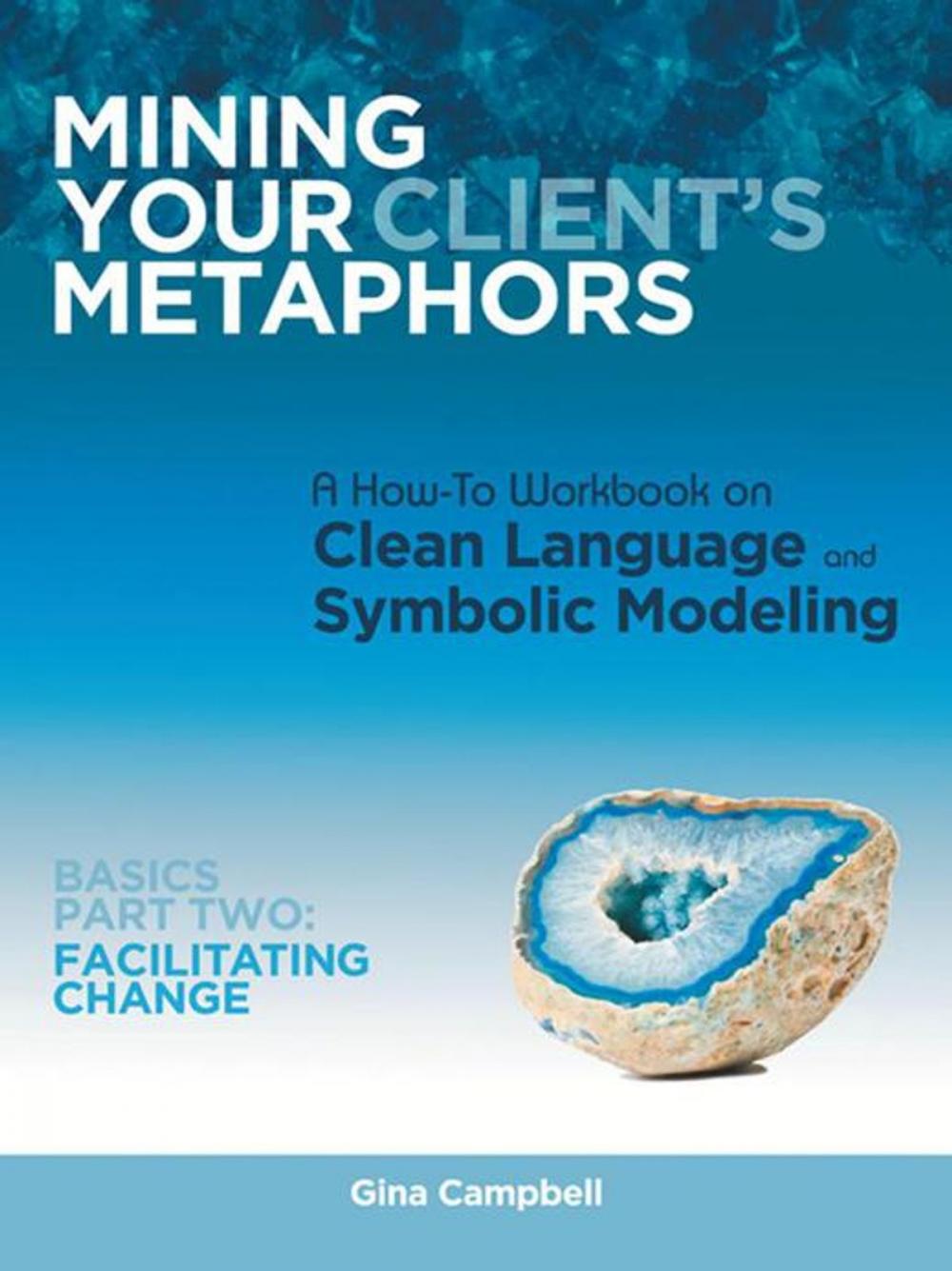 Big bigCover of Mining Your Client's Metaphors