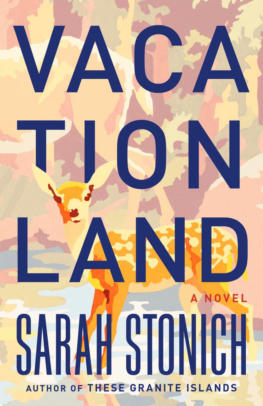 Big bigCover of Vacationland