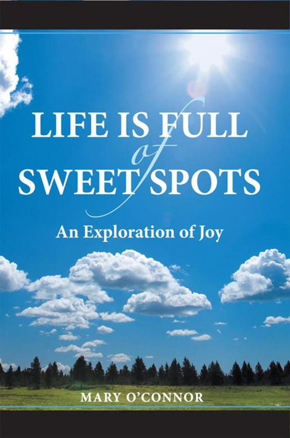 Big bigCover of Life Is Full of Sweet Spots