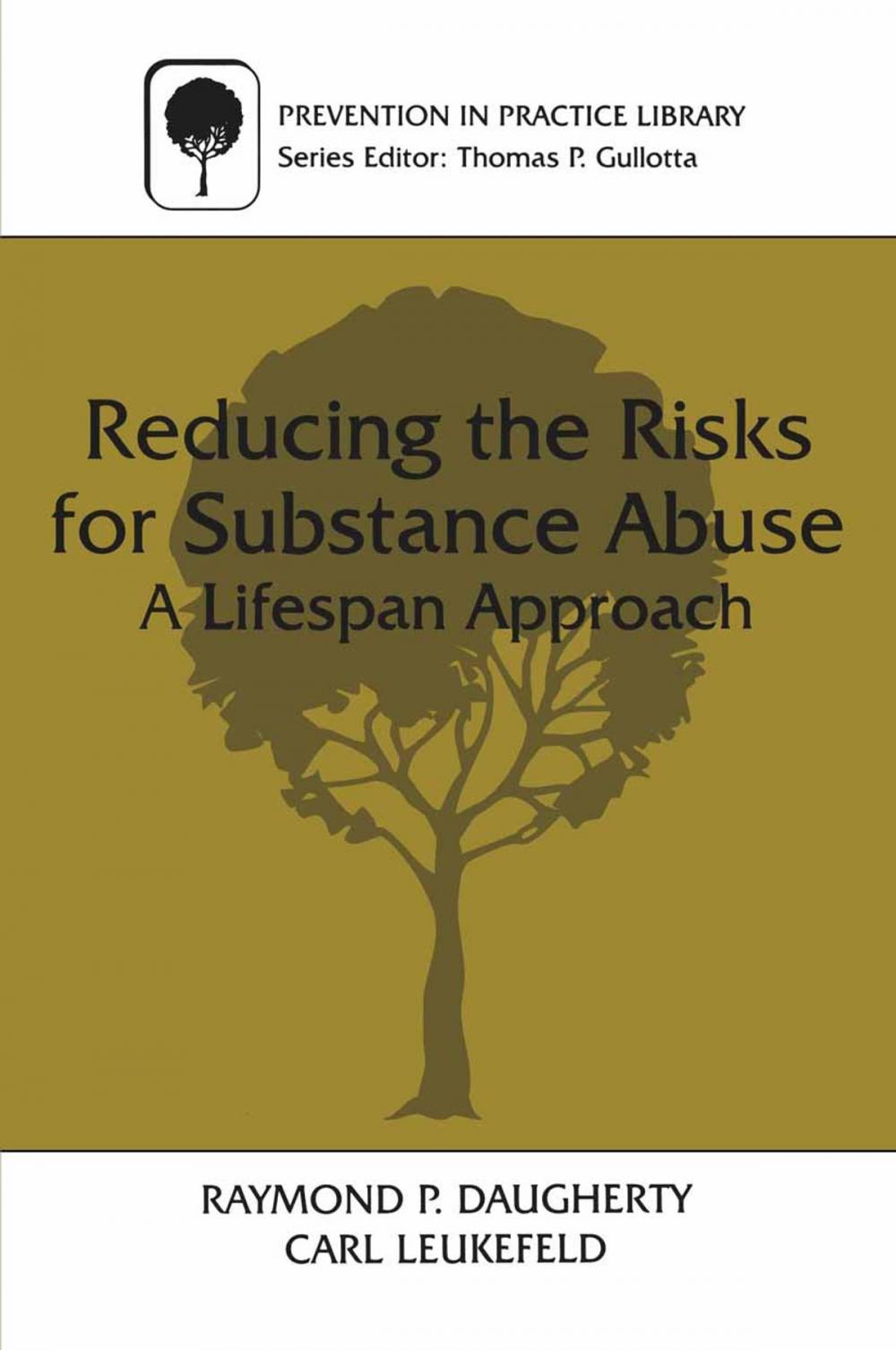 Big bigCover of Reducing the Risks for Substance Abuse