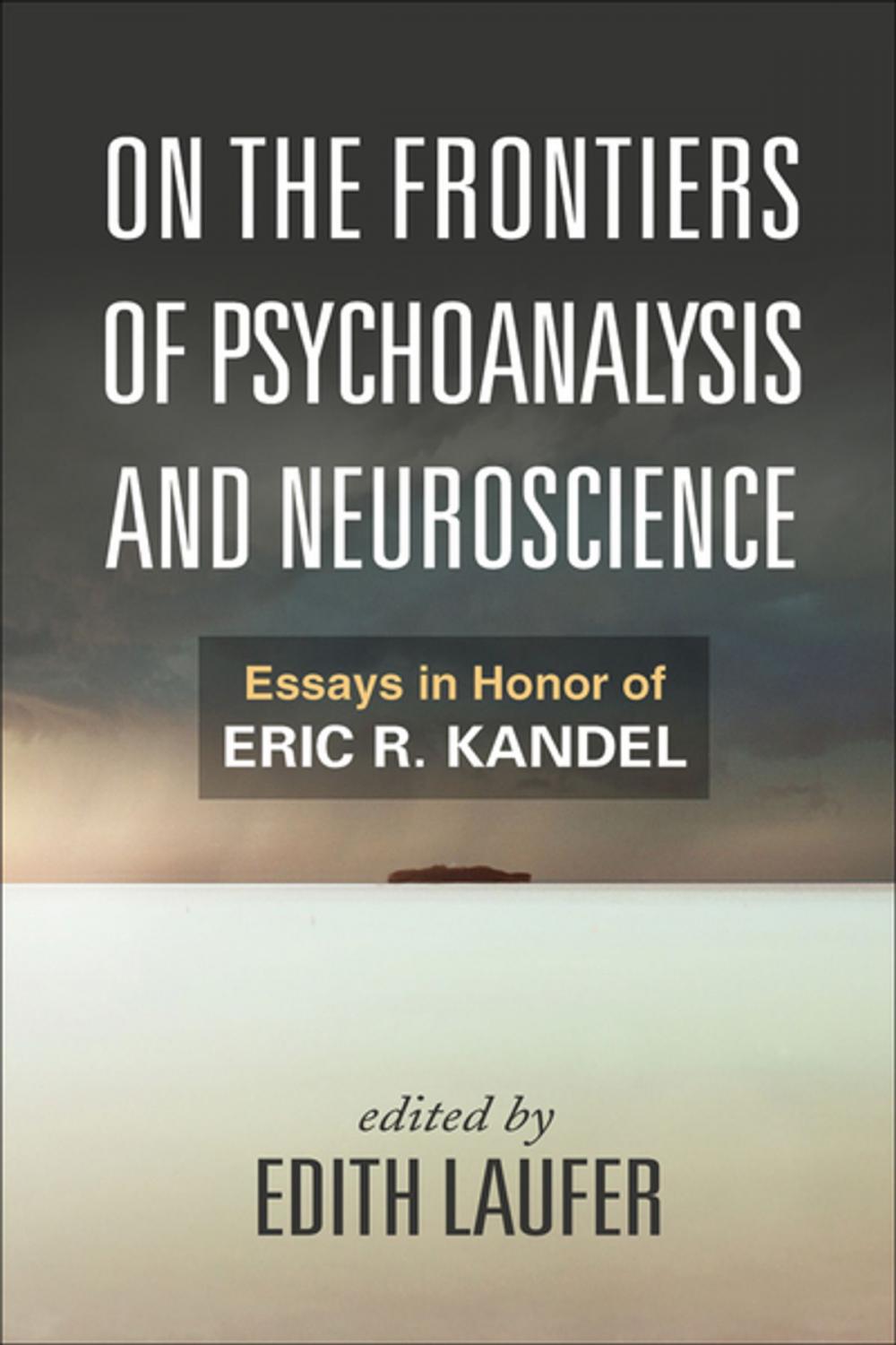 Big bigCover of On the Frontiers of Psychoanalysis and Neuroscience