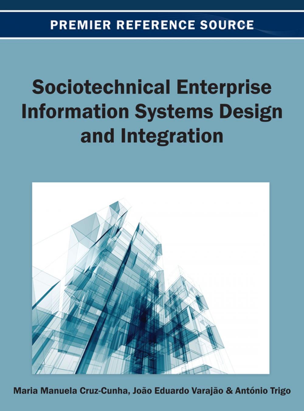 Big bigCover of Sociotechnical Enterprise Information Systems Design and Integration