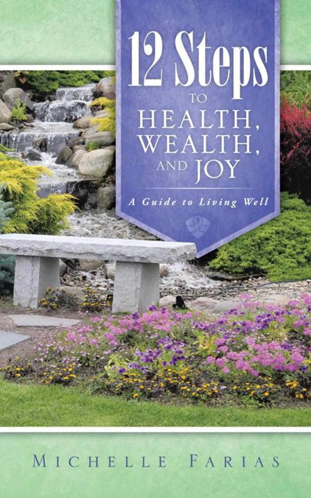 Big bigCover of 12 Steps to Health, Wealth, and Joy