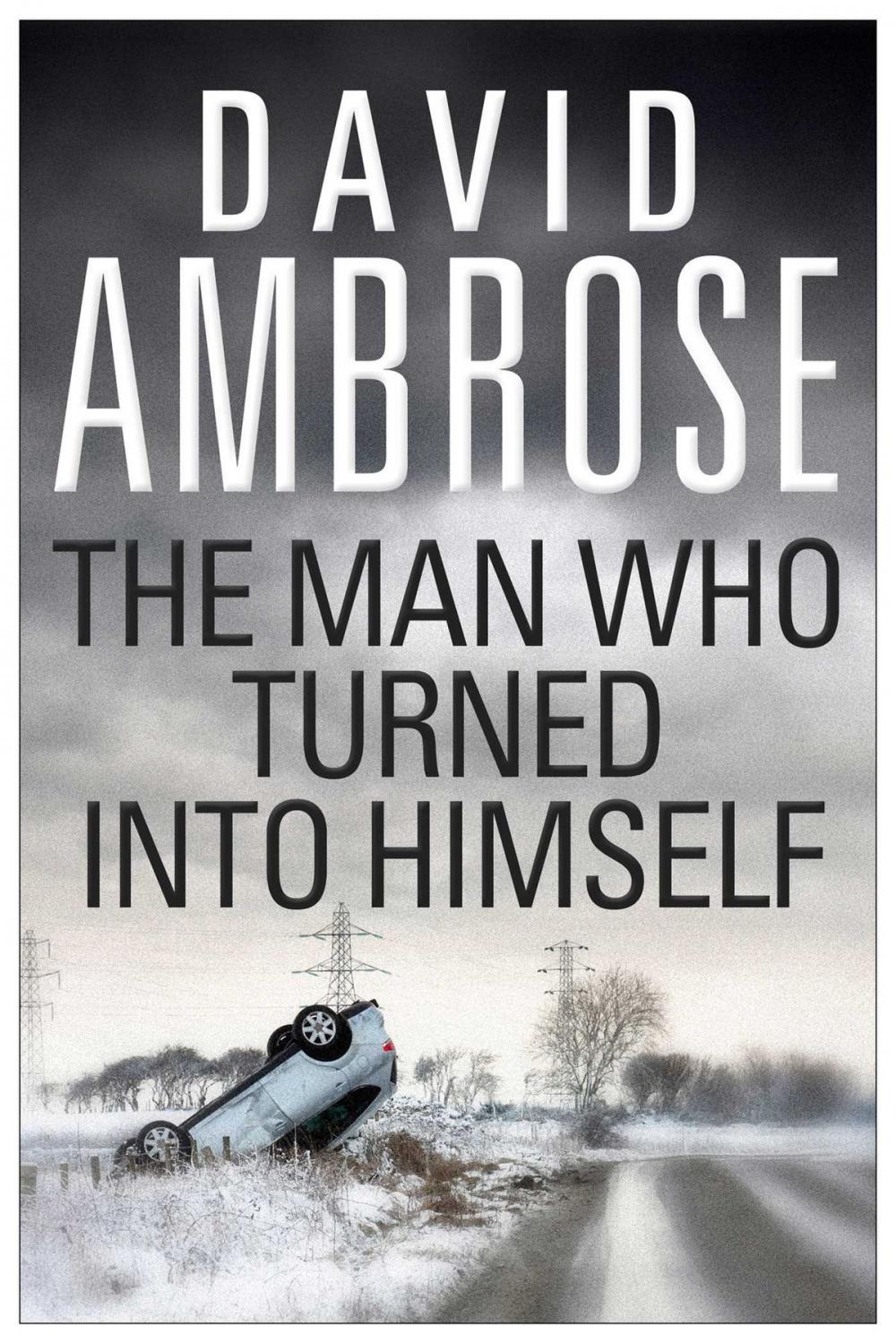 Big bigCover of The Man Who Turned Into Himself