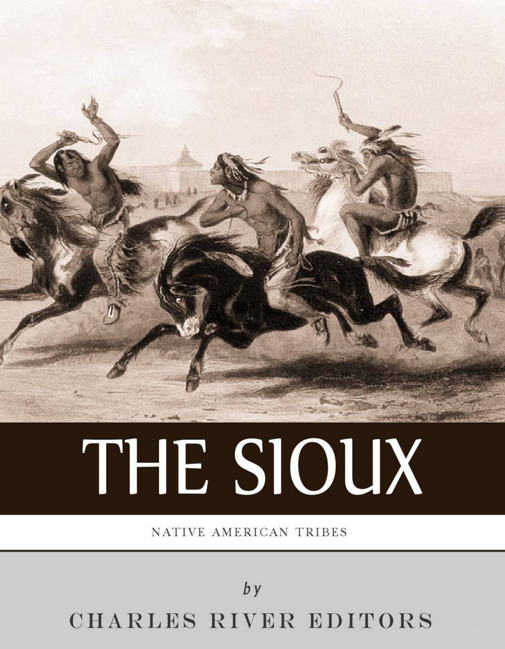 Big bigCover of Native American Tribes: The History and Culture of the Sioux