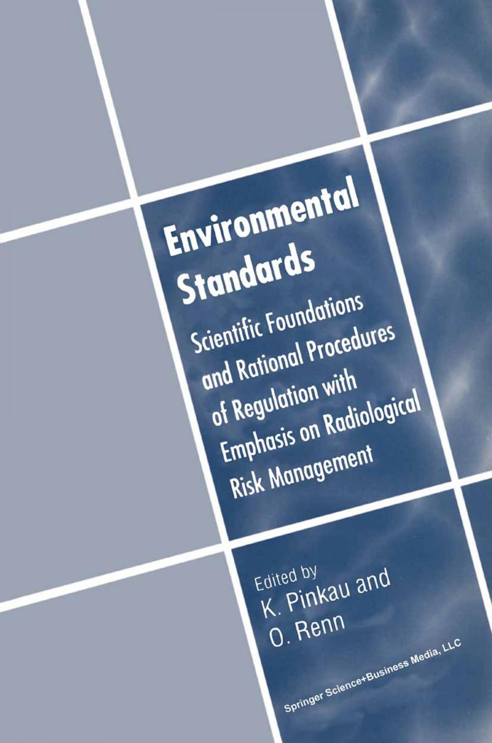 Big bigCover of Environmental Standards