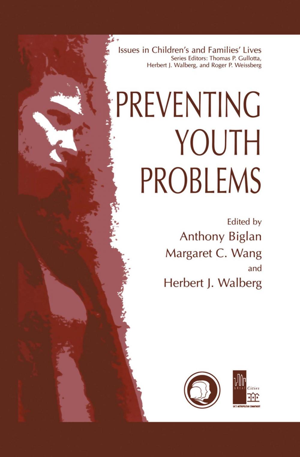 Big bigCover of Preventing Youth Problems