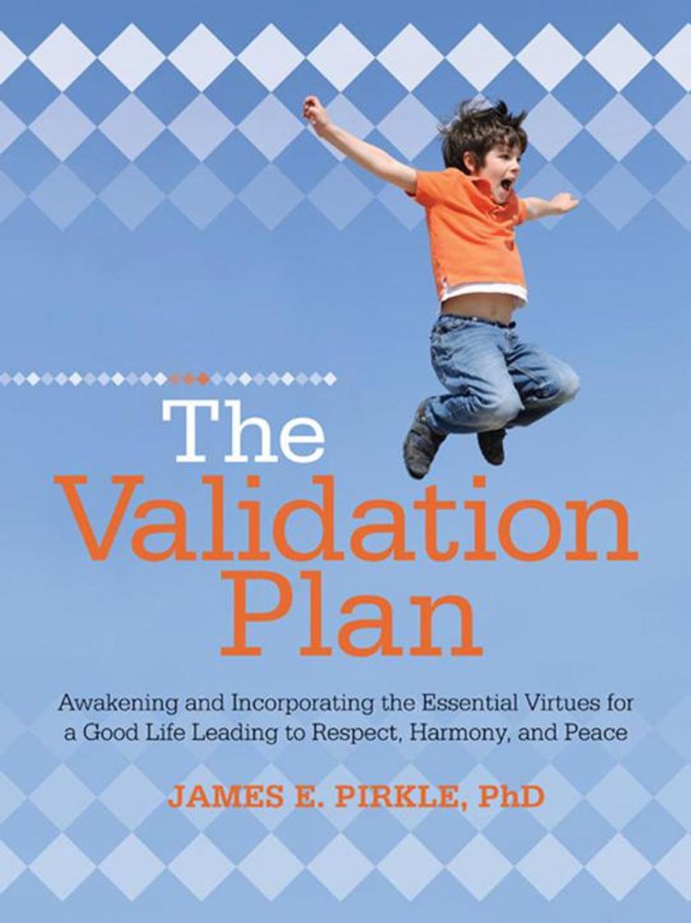 Big bigCover of The Validation Plan