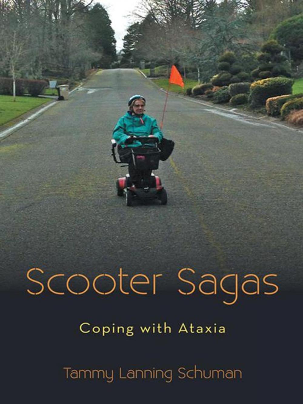 Big bigCover of Scooter Sagas